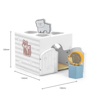 Shape Sorter with Music Blocks