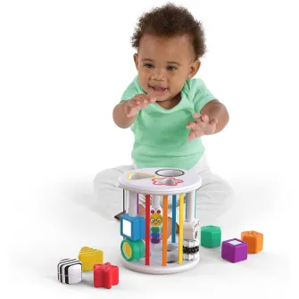 Sortator Baby Einstein Zen & Cal's Playground (12493)