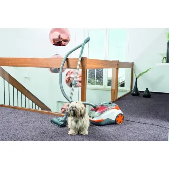 Aspirator cu filtru de apa Thomas Dry & Aqua-Box Cat & Dog