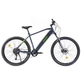 Bicicleta Pegas Drumet Dinamic L 29 inch, Gri Verde