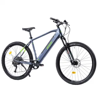 Bicicleta Pegas Drumet Dinamic L 29 inch, Gri Verde