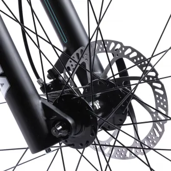 Bicicleta Pegas Drumet Dinamic L 29 inch, Gri Verde