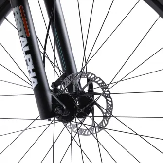 Bicicleta Pegas Drumet Dinamic L 29 inch, Gri Verde