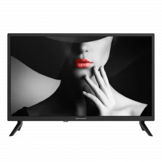 Televizor LED Diamant 24HL4300H/C, 60 cm, HD, Clasa E