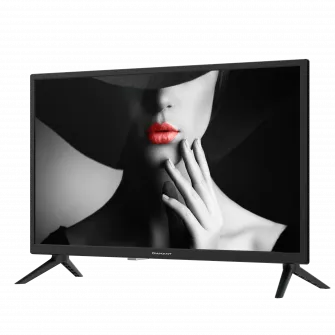 Televizor LED Diamant 24HL4300H/C, 60 cm, HD, Clasa E