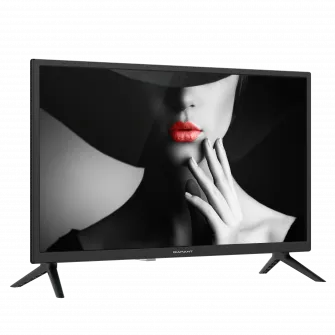 Televizor LED Diamant 24HL4300H/C, 60 cm, HD, Clasa E