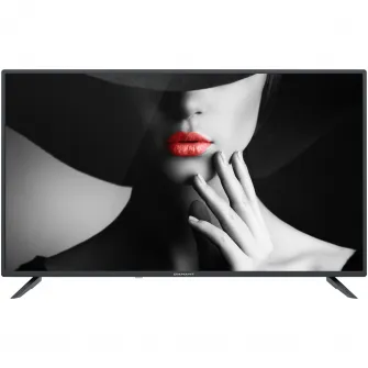 Televizor LED Diamant 40HL4300F/C, 101 cm, Full HD, Clasa E
