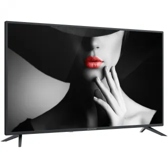 Televizor LED Diamant 40HL4300F/C, 101 cm, Full HD, Clasa E