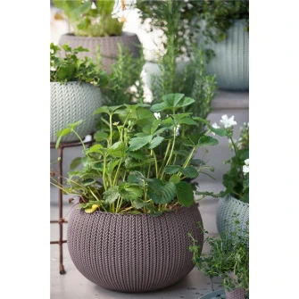 Keter Cozy M Подвесное кашпо Violet