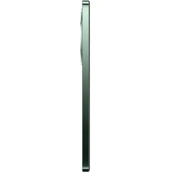 Oppo Reno 12 FS 5G 12/512GB, Black Green