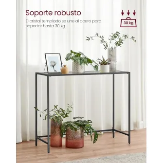 Consola Vasagle Gri 100.5x20x80 cm