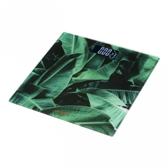 Cantar de podea Ardesto SCB-965LEAVES, Verde