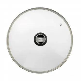Capac Tefal 28097512, 24cm, Transparent