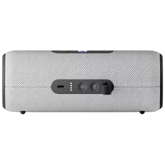 Difuzor Inteligent Yandex Station Street, Gri