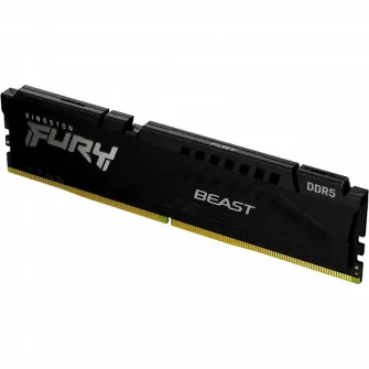 Оперативная память Kingston FURY Beast, DDR5 SDRAM, 6000 МГц, 32 Гб, KF560C36BBE-32