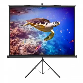 Tripod 200x200cm Reflecta Crystal-Line, Ratio 1:1