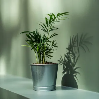 IKEA BINTJE Ghiveci, galvanizat, 9 cm