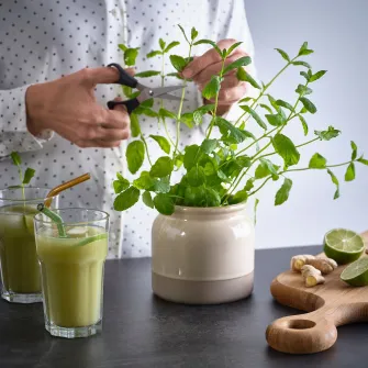 IKEA BRUGDHAJ Borcan cu capac, bej, 1 l