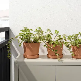 IKEA BRUNBÄR Ghiveci cu farfurie, exterior teracota, 15 cm