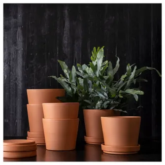 IKEA BRUNBÄR Ghiveci cu farfurie, exterior teracota, 12 cm