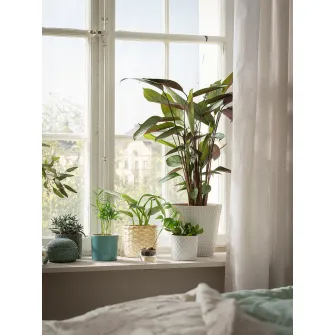IKEA CHIAFRÖN Ghiveci, alb, 9 cm