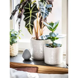 IKEA CHIAFRÖN Ghiveci, interior/exterior alb, 15 cm