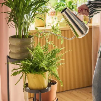 IKEA DOFTRIPS Stropitoare, inox, 1.5 l