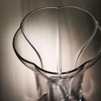 IKEA DOFTRIPS Vaza, sticla transparenta, 18 cm