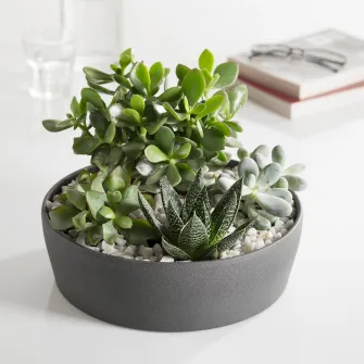 IKEA DYFT Decoratiune pietre, alb, 650 g