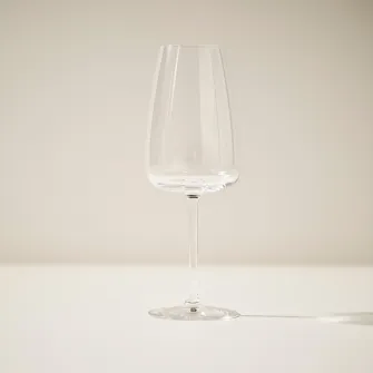 IKEA DYRGRIP Pahar vin alb, sticla transparenta, 42 cl