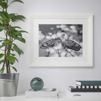 IKEA EDSBRUK Rama, alb, 40x50 cm