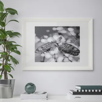 IKEA EDSBRUK Rama, alb, 50x70 cm