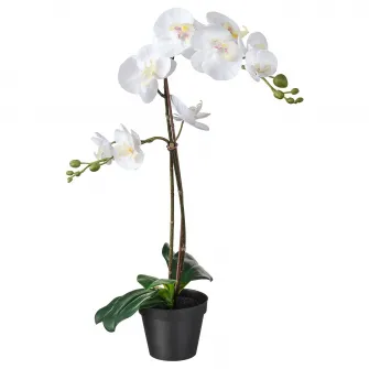 IKEA FEJKA Planta artificiala, Orhidee alb, 12 cm