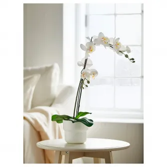 IKEA FEJKA Planta artificiala, Orhidee alb, 12 cm