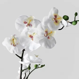 IKEA FEJKA Planta artificiala, Orhidee alb, 12 cm