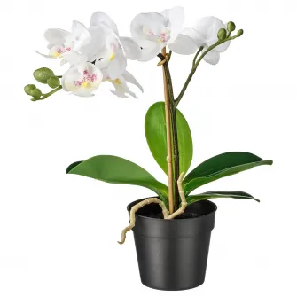 IKEA FEJKA Planta artificiala, Orhidee alb, 9 cm