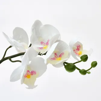 IKEA FEJKA Planta artificiala, Orhidee alb, 9 cm