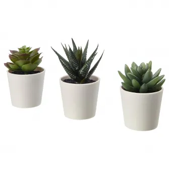 IKEA FEJKA Planta artificiala in ghiveci, interior/exterior Succulent, 6 cm 3 buc.