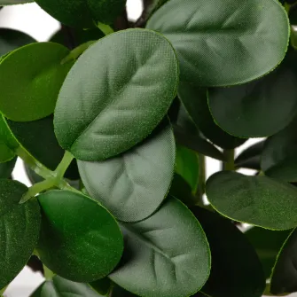 IKEA FEJKA Planta artificiala in ghiveci, interior/exterior bonsai, 16 cm