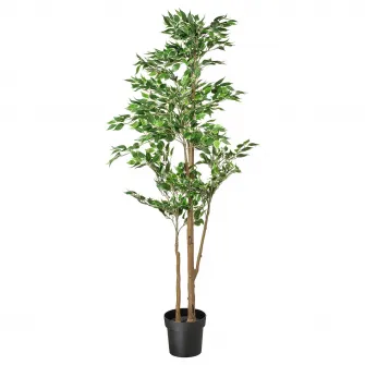 IKEA FEJKA Planta artificiala, interior/exterior Ficus Benjamina Exotica, 21 cm