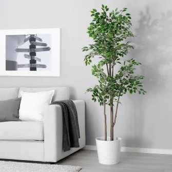 IKEA FEJKA Planta artificiala, interior/exterior Ficus Benjamina Exotica, 21 cm