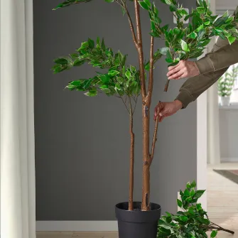 IKEA FEJKA Planta artificiala, interior/exterior Ficus Benjamina Exotica, 21 cm
