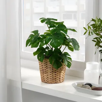 IKEA FEJKA Planta artificiala, interior/exterior Monstera, 12 cm