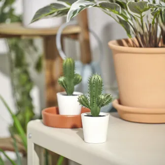 IKEA FEJKA Planta artificiala, interior/exterior cactus, 6 cm