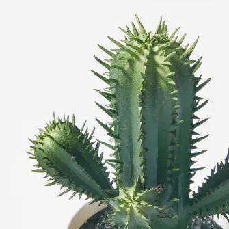 IKEA FEJKA Planta artificiala, interior/exterior cactus, 6 cm