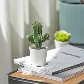 IKEA FEJKA Planta artificiala, interior/exterior cactus, 6 cm