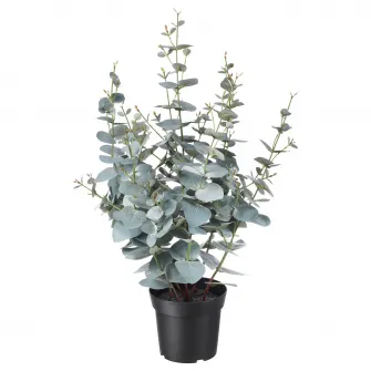 IKEA FEJKA Planta artificiala, interior/exterior eucalipt, 15 cm