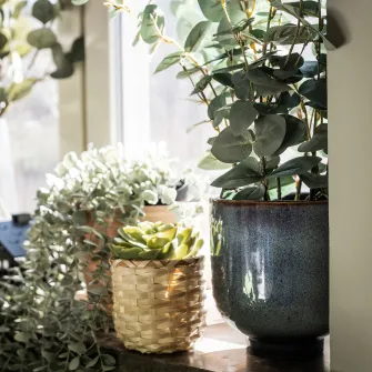IKEA FEJKA Planta artificiala, interior/exterior eucalipt, 15 cm