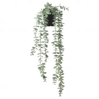 IKEA FEJKA Planta artificiala, interior/exterior suspendata/eucalipt, 9 cm