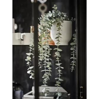 IKEA FEJKA Planta artificiala, interior/exterior suspendata/eucalipt, 9 cm